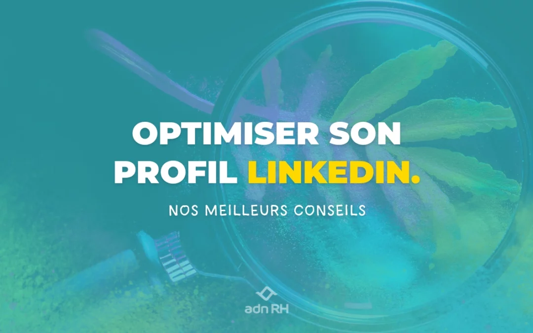 Profil LinkedIn : comment l’optimiser ? On vous dit tout !